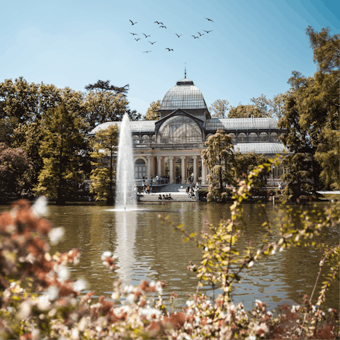 Discover the beauty of El Retiro Park by walking there or jumping on a train