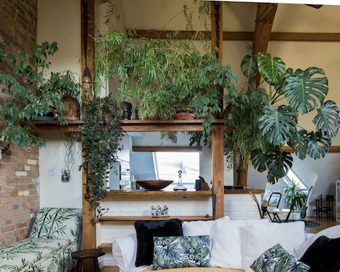 An indoor jungle
