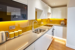 A Dash of Mustard image 12