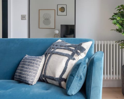 The blue velvet sofa
