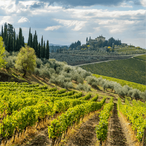 Head off for an adventure around Chianti