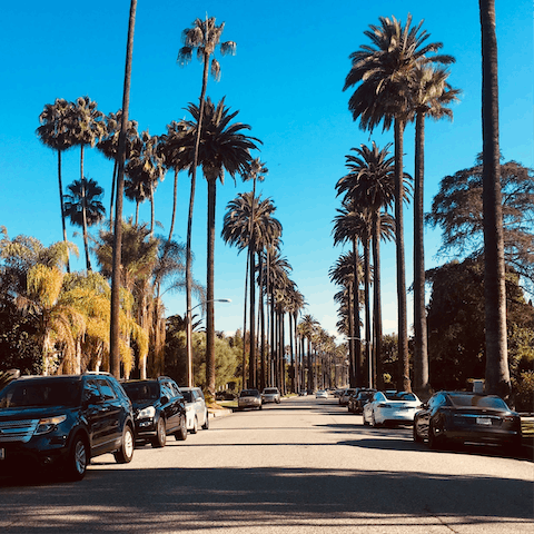 Explore the picturesque and palm-lined streets of Downtown LA and Beverly Hills