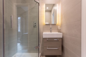 Ashburn Fawn image 4
