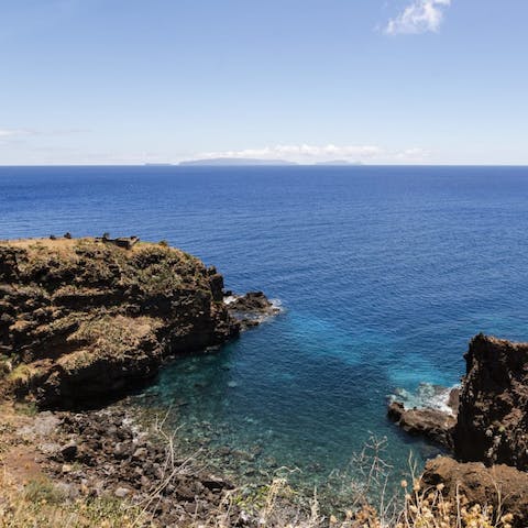 Walk for five minutes to Reis Magos beach and snorkel with fish at the Madeira Diving Center