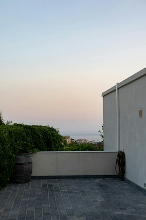 The Apricot Season image 14