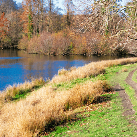 Enjoy a picturesque Sunday stroll through nearby Petworth Park