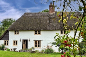 Dorset Dreamers image 9