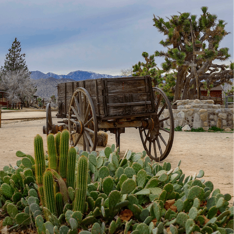Explore the quirky sights of Pioneertown