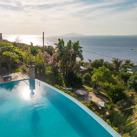 Admire the ocean views from the edge of the infinity pool