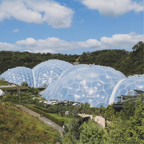 Visit the Eden Project, only a nine-minute drive away 