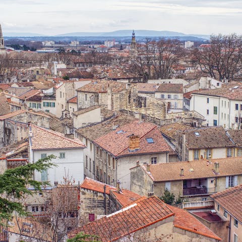 Explore the nearby city of Avignon, only a thirty-minute drive away 