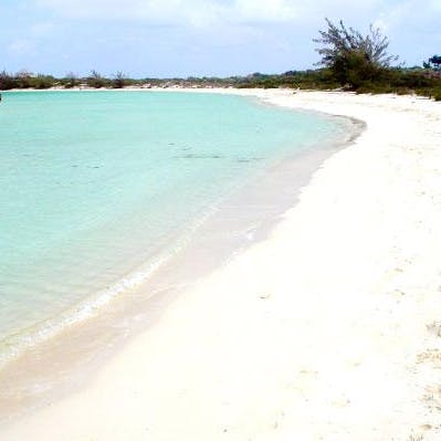 Wander the white sands of Taylor Bay Beach, a short walk away