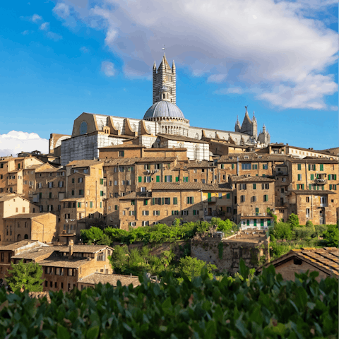 Spend a day sightseeing in Siena – just forty-minutes away