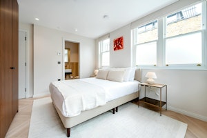 London Serenade image 13