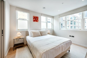 London Serenade image 7