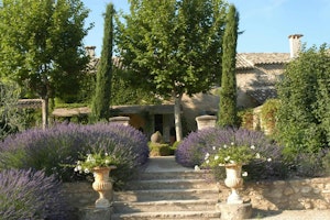 Cypress & Oak image 5