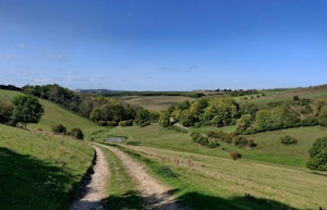 A Warbler's Call image 14