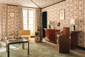 Vintage Velvet image 12