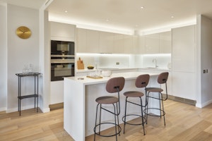 Angora Oak image 4