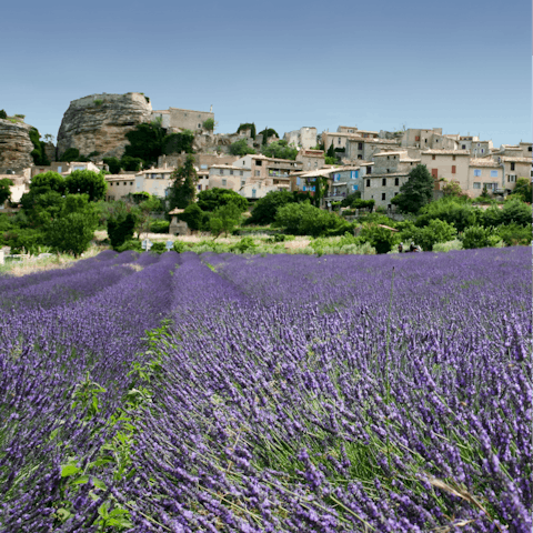 Explore Grasse, the perfume capital of the world, only 6km away