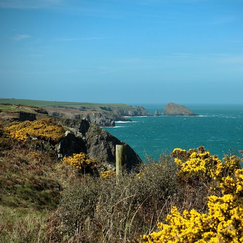 Explore the glorious Pembrokeshire coastline –⁠ starting at Saundersfoot Beach, just a seven-minute walk away