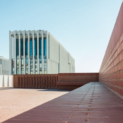 A sunny communal terrace 