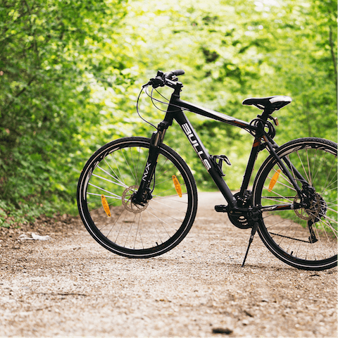 Rent bikes and hit the incredible trails