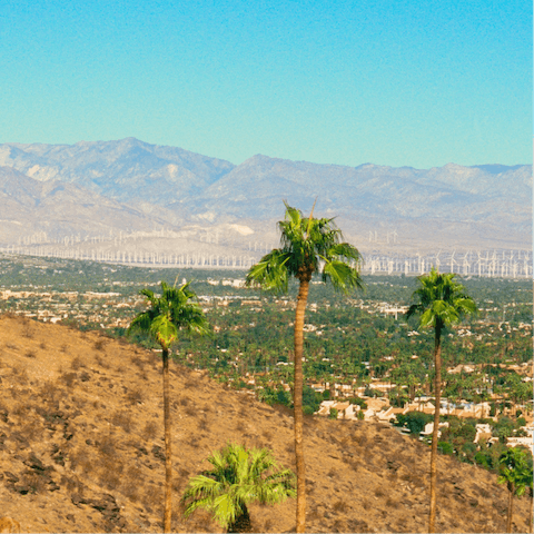 Treat yourself to a dreamy desert escape in the heart of Palm Springs