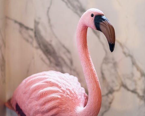 The plastic flamingo