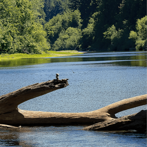 Wander down to the Russian River – just a short walk from your home