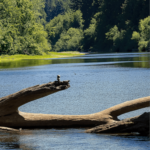 Wander down to the Russian River – just a short walk from your home