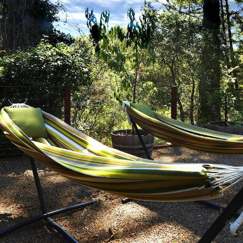 Snooze in hammocks beneath a canopy of trees