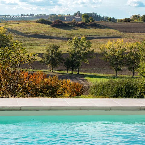 Take a swim in the salt water pool with a view over the rolling hills of Monferrato  