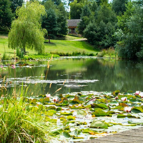 Enjoy walks by the natural lake 