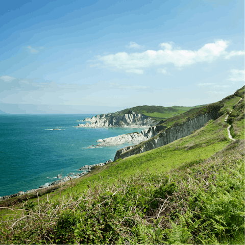 Go for a walk along the Devon coastline