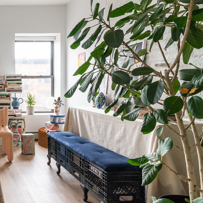 Admire the houseplants and unique items of furniture dotted throughout the apartment