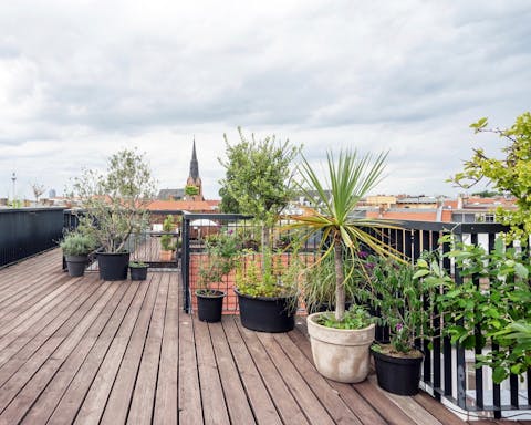 The communal rooftop