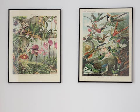 Decorative botanical posters