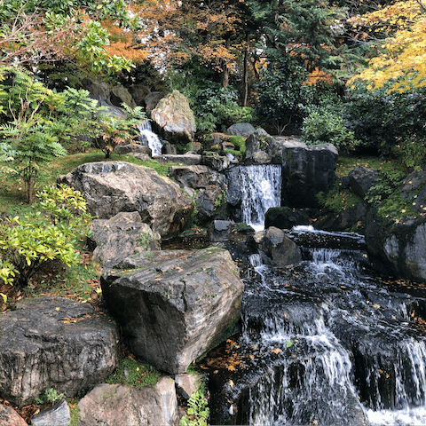 Admire the Japanese-inspired Kyoto Garden in Holland Park, an eleven-minute walk away