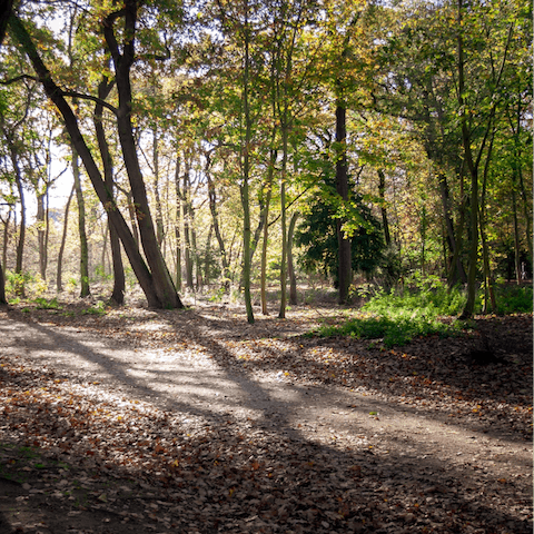 Go for a serene stroll in the Bois de Boulogne
