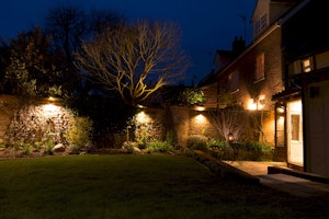A Little Green Garden image 10