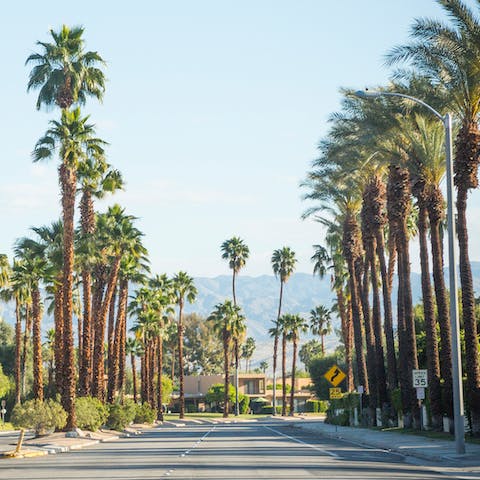 Wander around Palm Springs and feel like a movie star