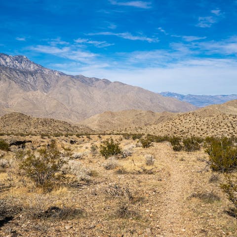 Spend the day hiking Indian Canyons (a fifteen-minute drive to the entrance)