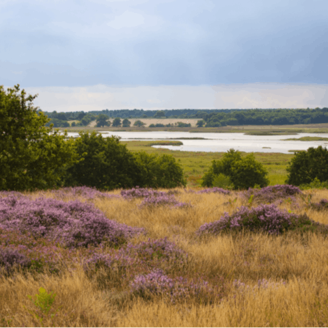 Get out and explore the Suffolk countryside, including Sutton Hoo, a fifteen-minute drive away