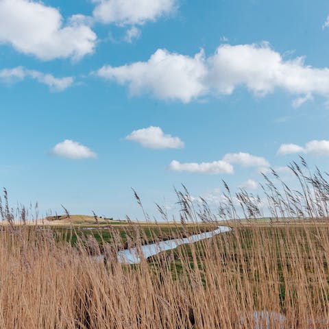 Stroll along the River Chet, a fifteen-minute walk from your home