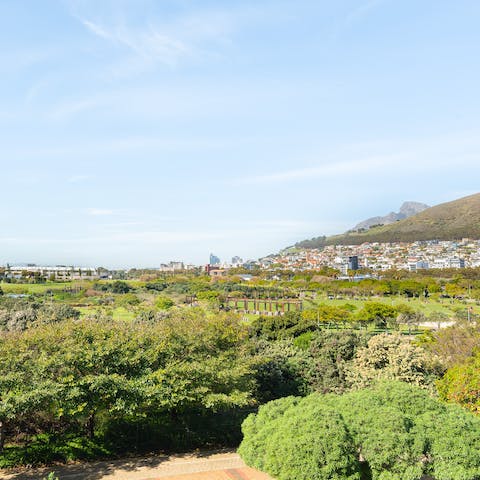 Stay in the Mouille Point district of Cape Town