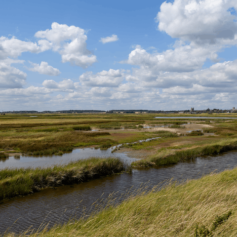 Go bird watching at Orford Ness, a twenty-five-minute drive from this home