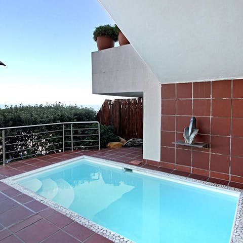 Cool off from the South African sun in the plunge pool