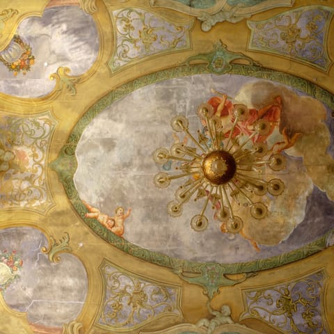 The historic ceilings