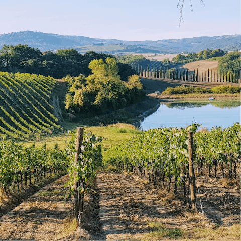 Visit a nearby vineyard and sample some of Tuscany's fine wines